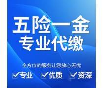 個人社保代繳補繳優(yōu)選商家及代理服務推薦